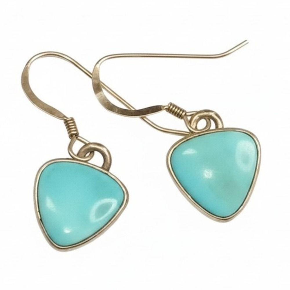 P. Skeets Navajo Artist Turquoise Sterling Silver‎ Dangle Earrings SKUJ107 - Picture 2 of 4